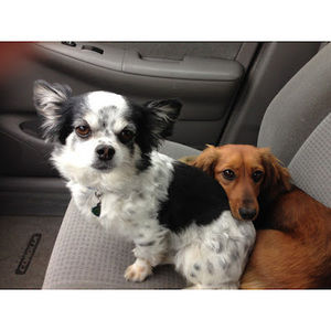 Meet your Posher, Stéphanie